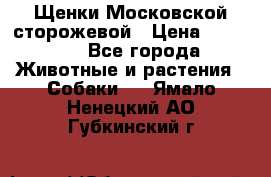 Щенки Московской сторожевой › Цена ­ 35 000 - Все города Животные и растения » Собаки   . Ямало-Ненецкий АО,Губкинский г.